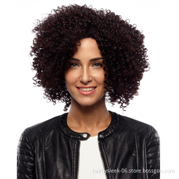 Synthetic Hair Wigs 14 Inch Short Wig Kinky Curly Machine Made Synthetic Hair Wigs For Black Women Heat Resistant Best Selling